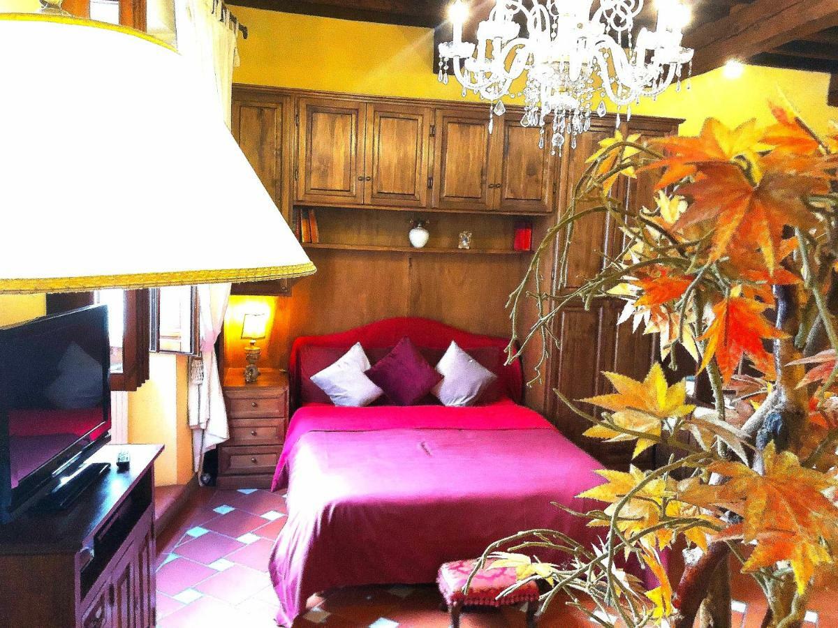 Cozy In Position Florence