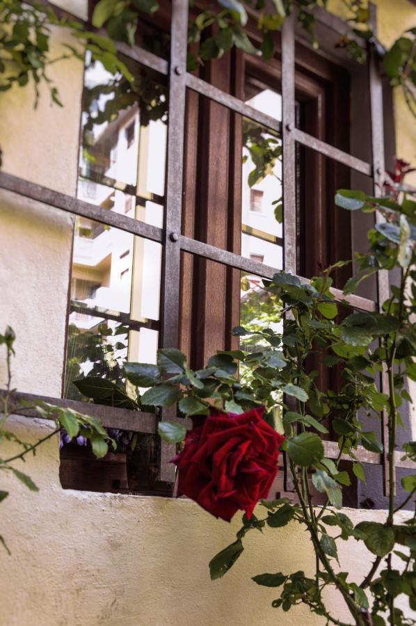 Lovely Nest Near Center Appartement Florence