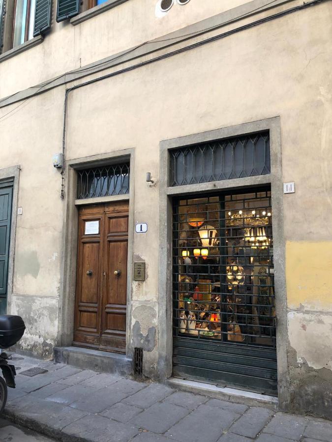Santo Spirito Jungle * Florence
