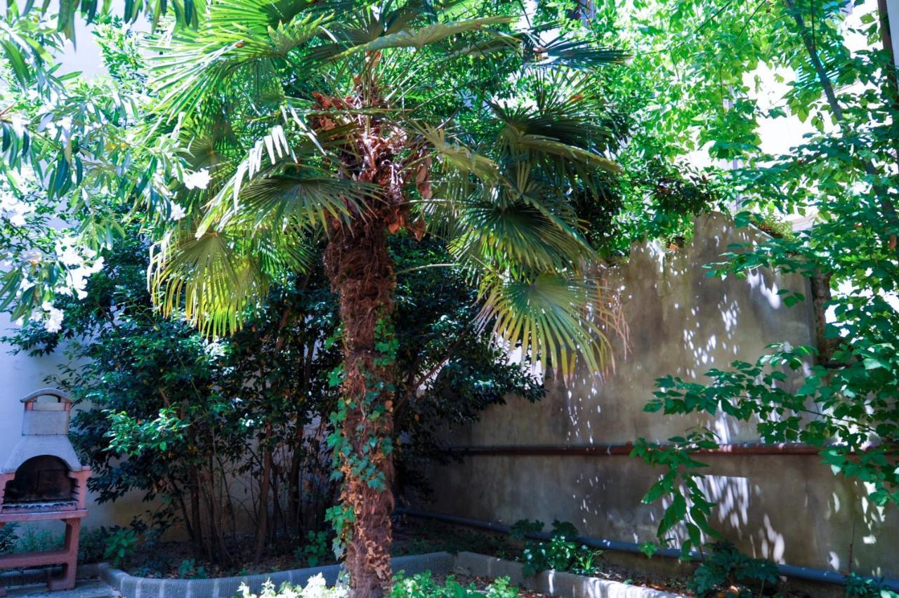 Acacia Artemisia-angelica Appartement Florence