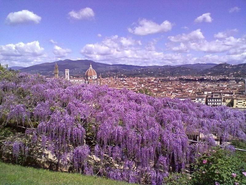 Alessandra Florence
