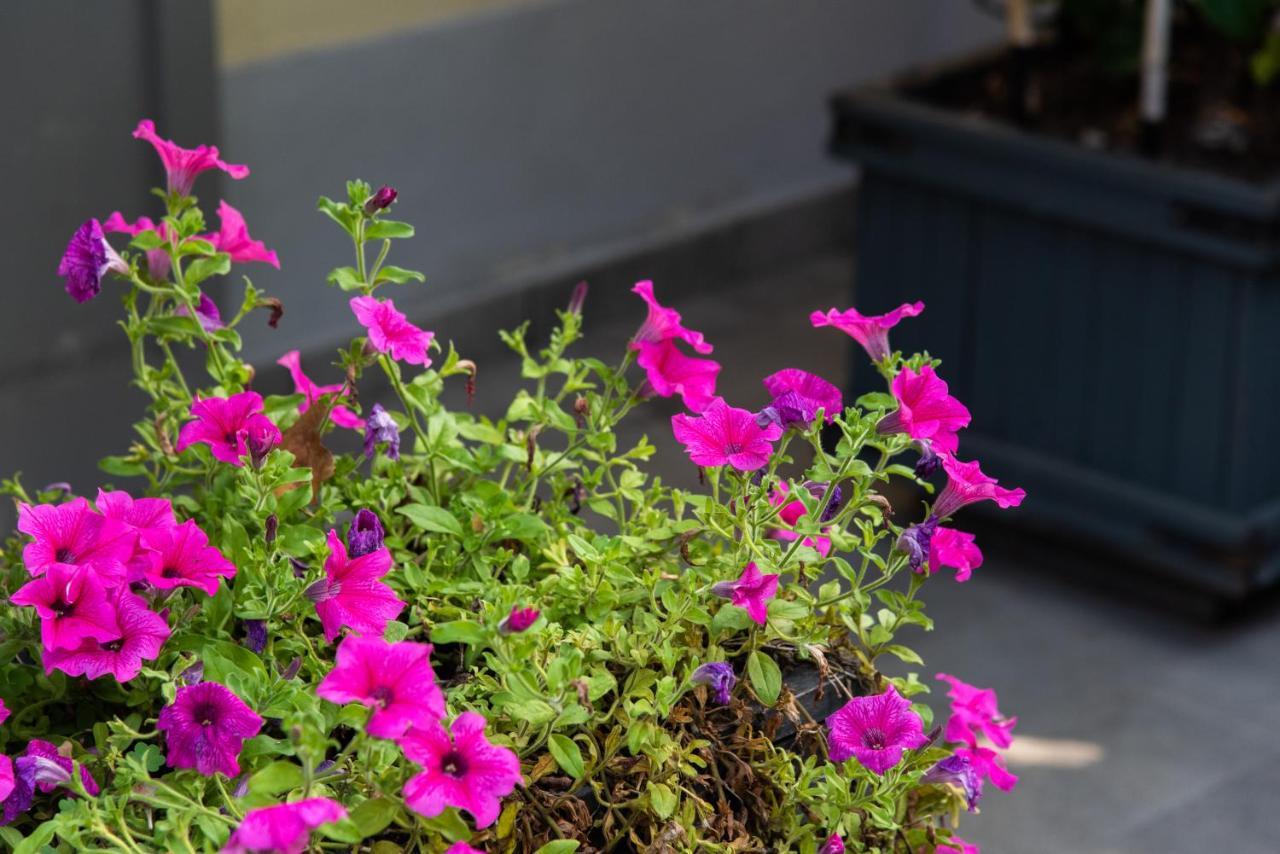 Bed & Breakfast La Fonderia Florence