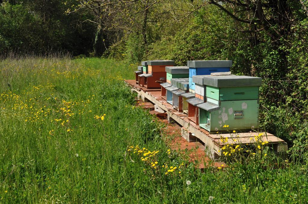 Visconte Holiday home *