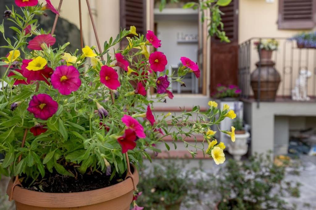 Loft Azalea Garden Wifi Air Conditioning * Florence