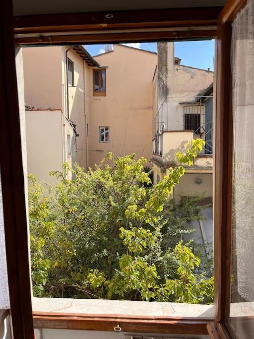Apartment Spacious Near Arno River Florence