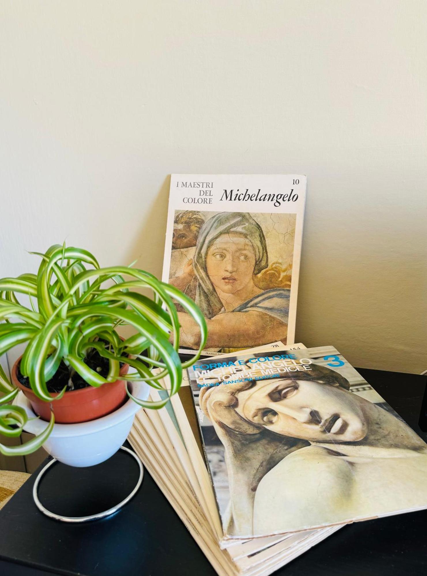 Guest house Il Magnifico Florence