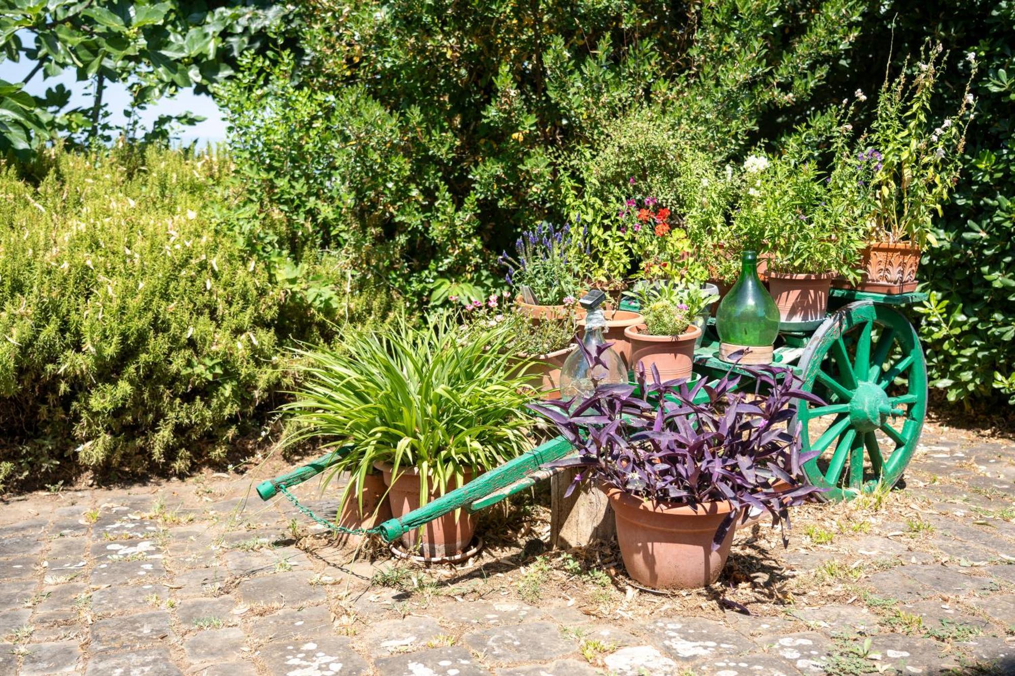 Charming Florentine Hideout * Florence