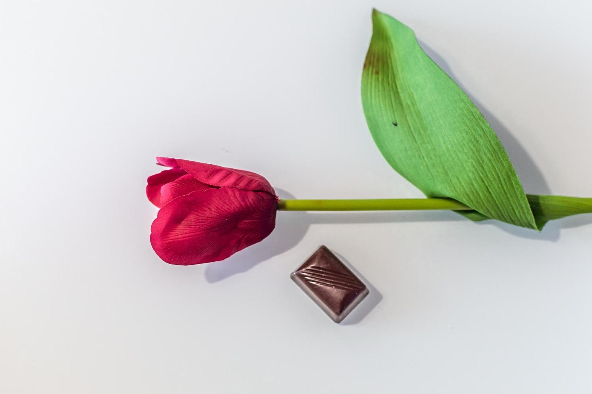 Chocolate Appartement