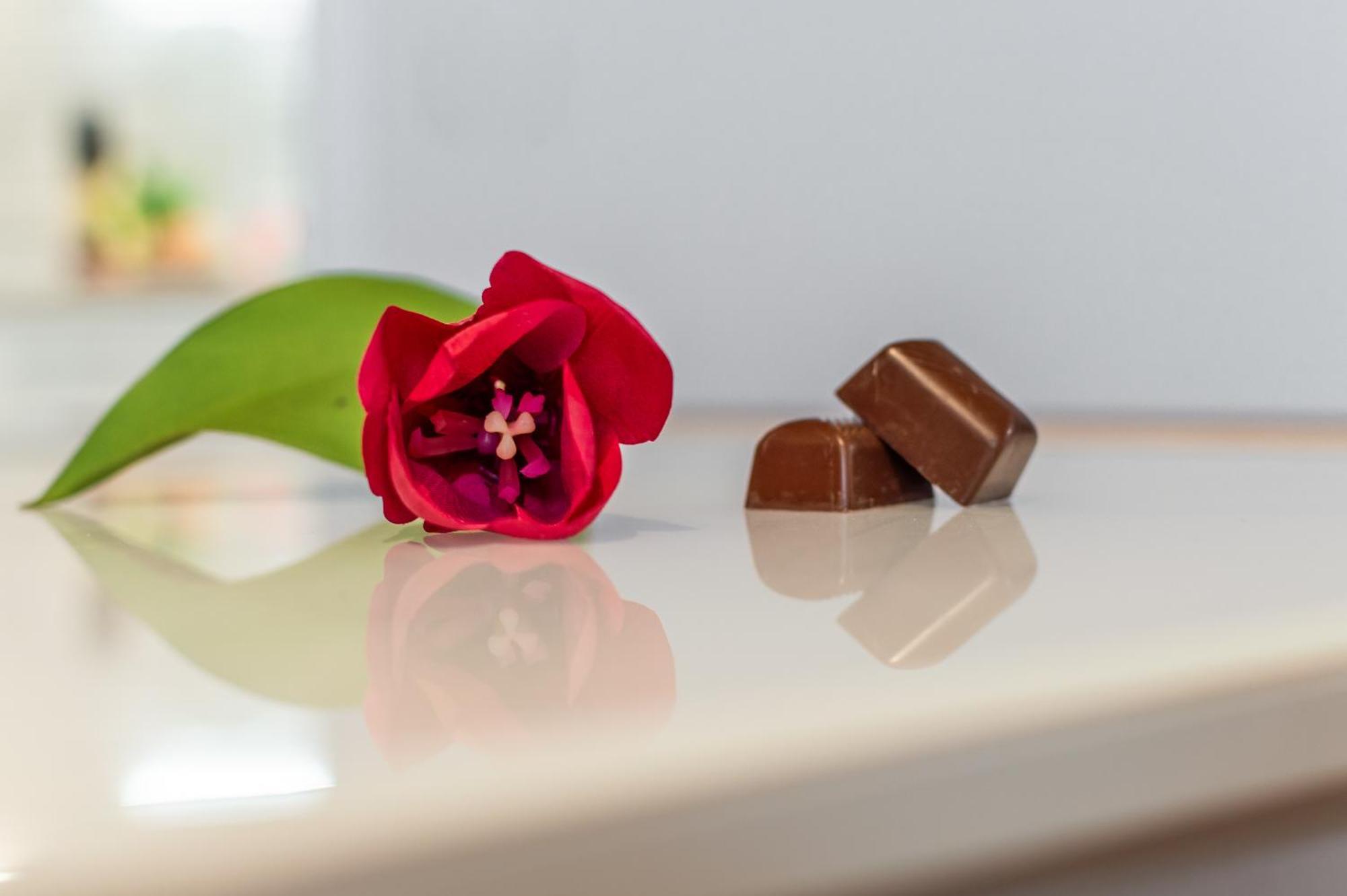 Appartement Chocolate