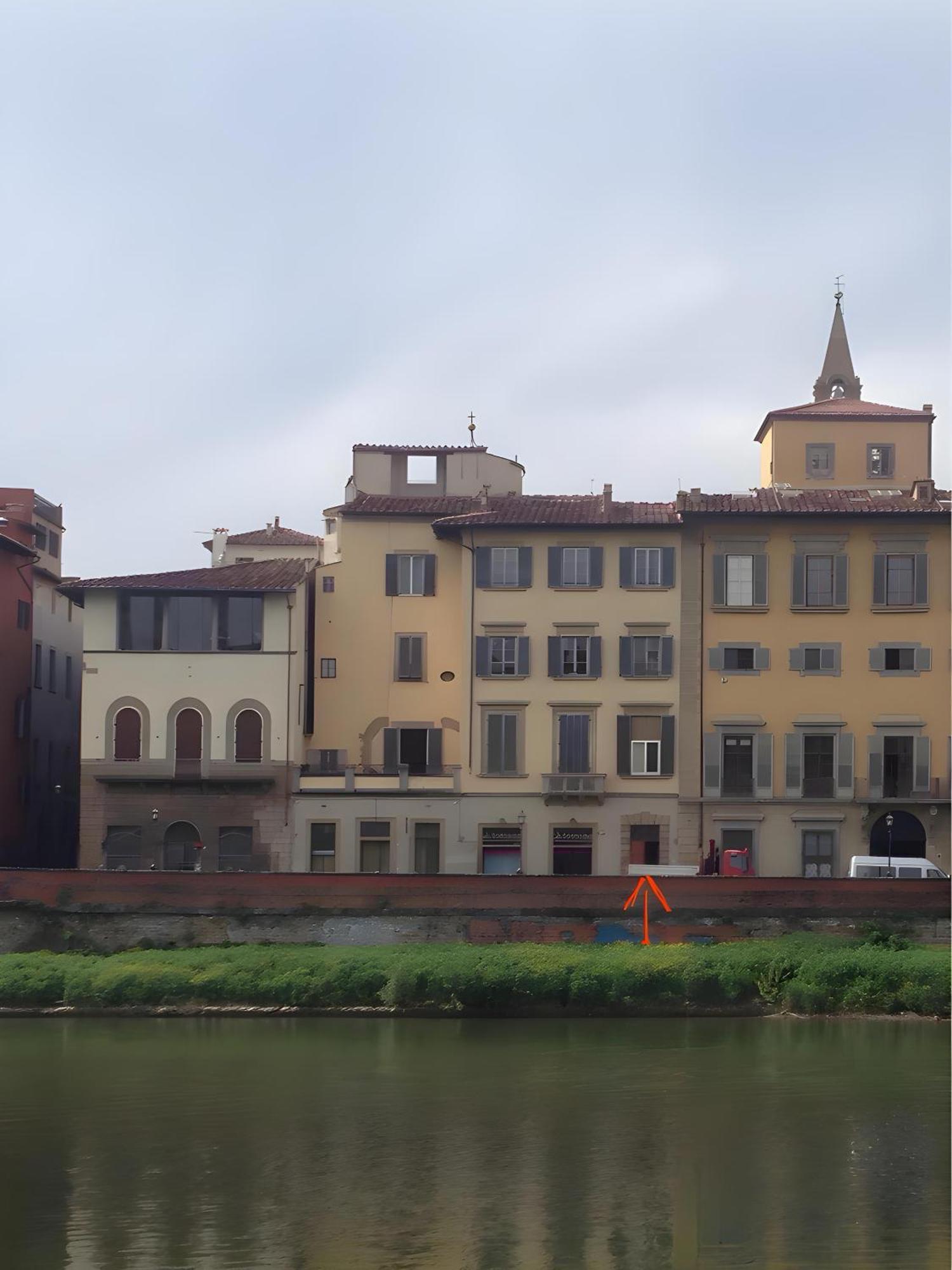 Art & Style Lungarno Guicciardini Apartment Florence
