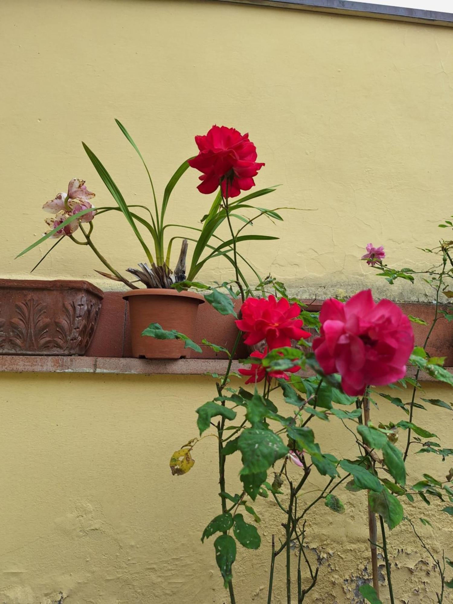 Guest house Dimora Del Magnifico Florence