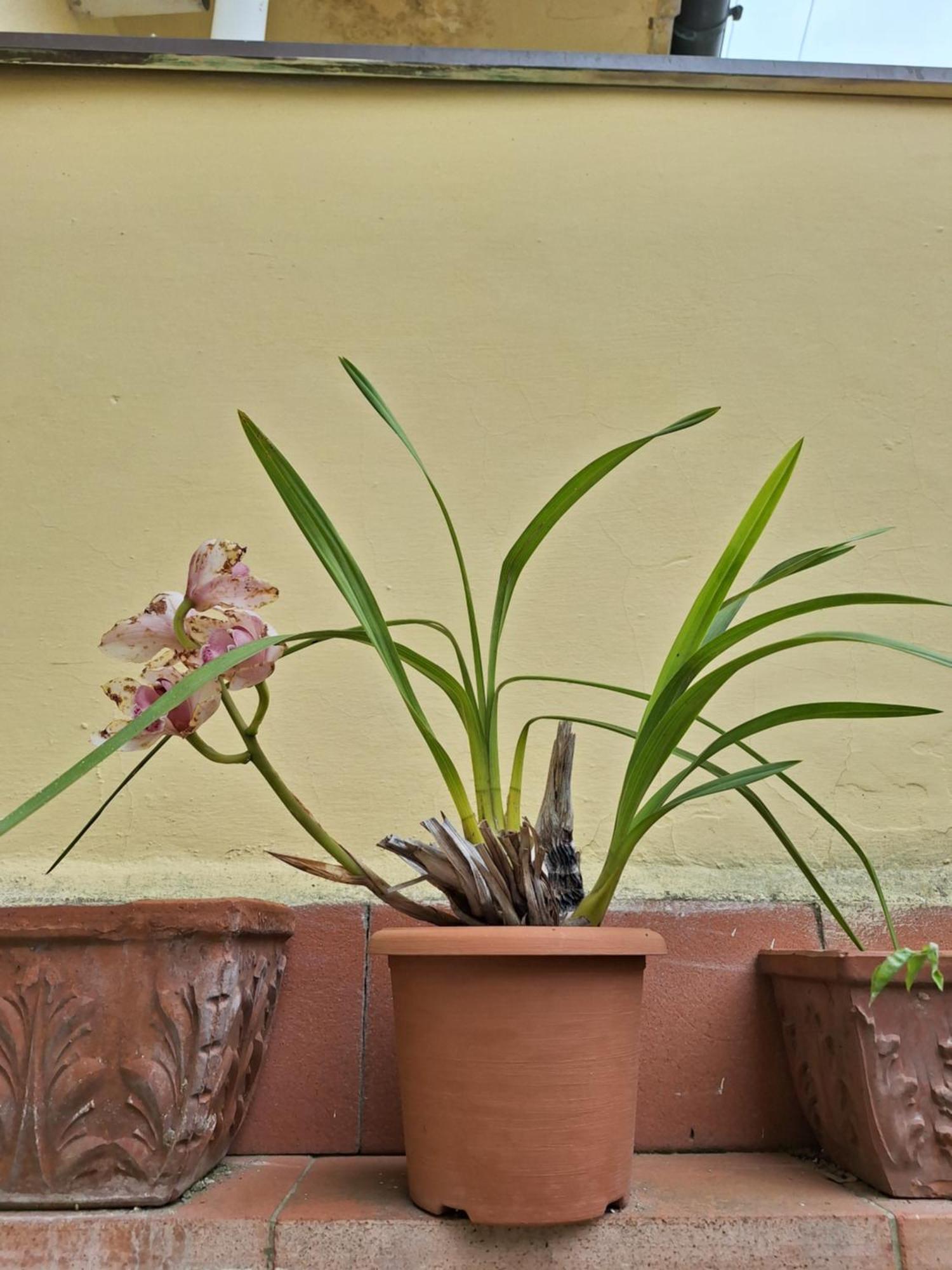Dimora Del Magnifico Guest house Florence