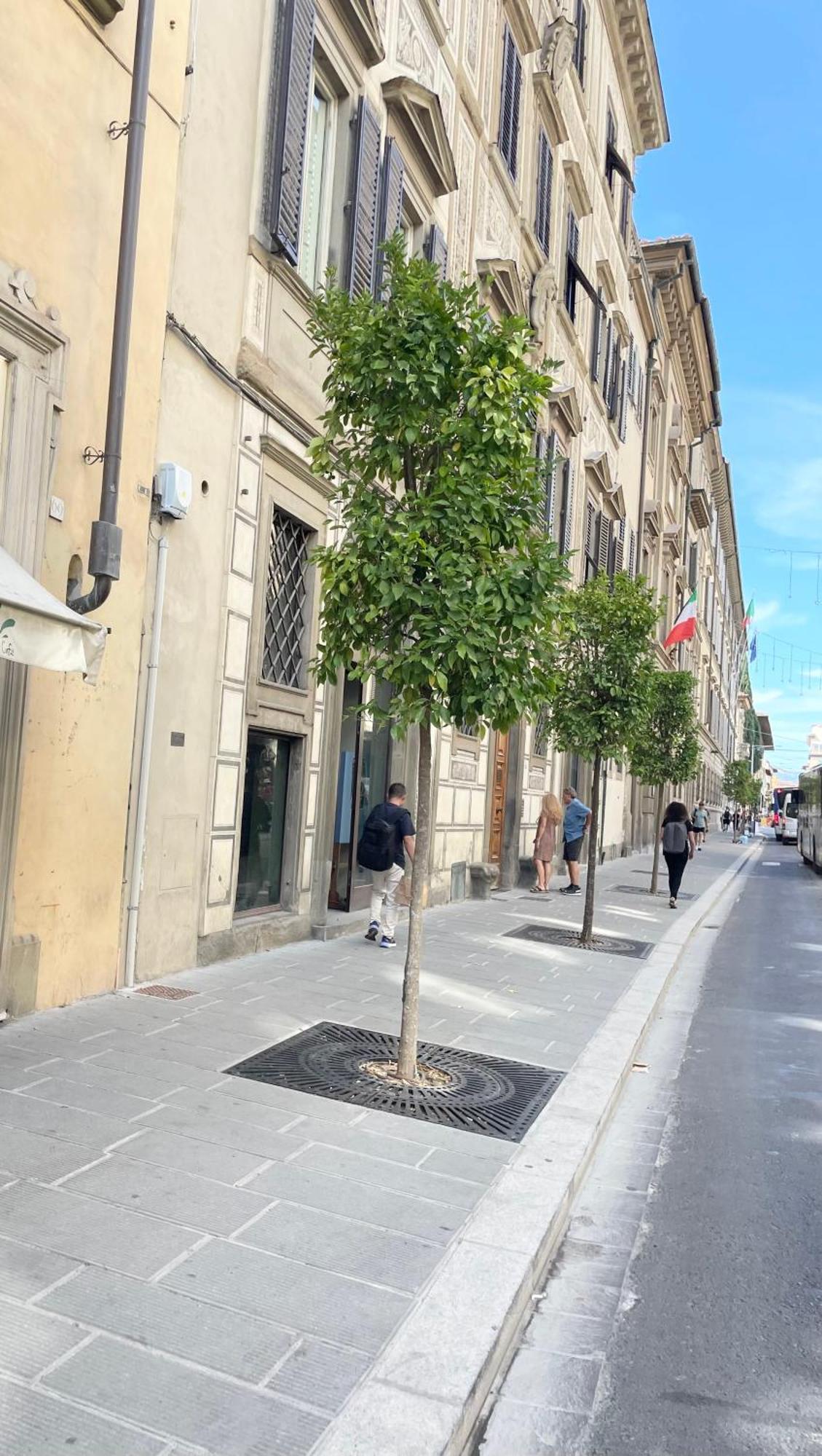 Apartment Cavour 36