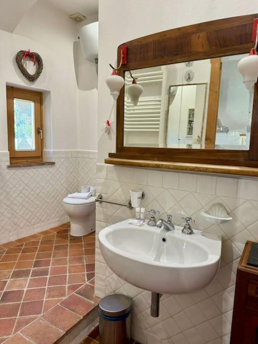 Beautiful And Cosy 1br