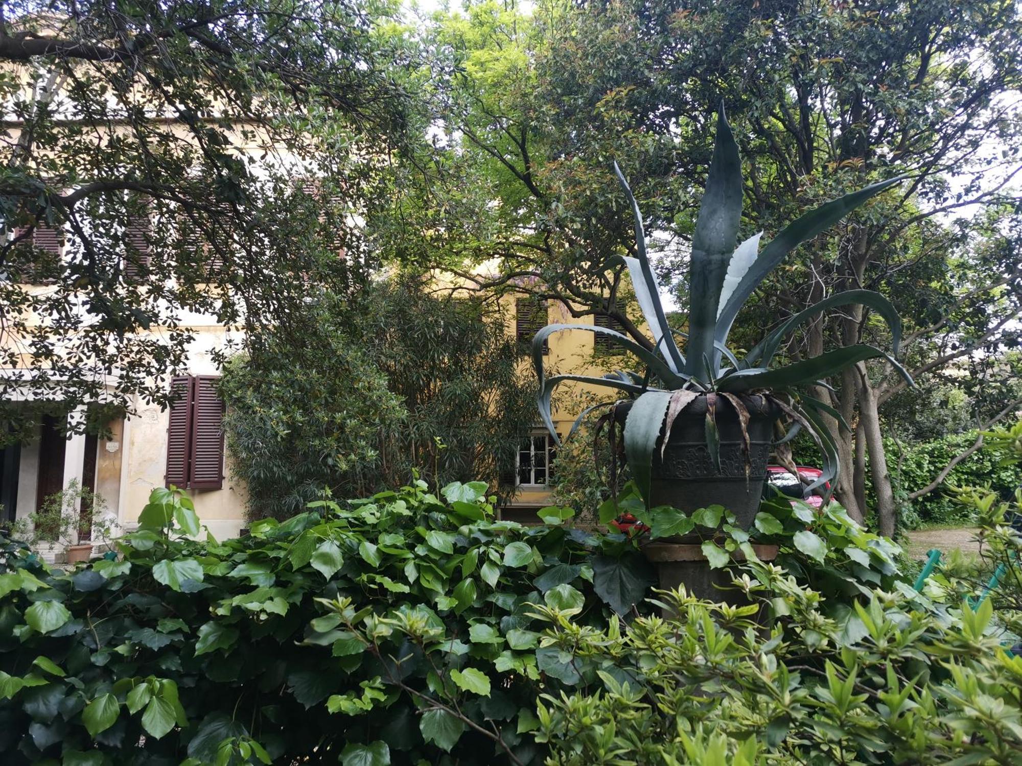 Apartment Pintino Garden *