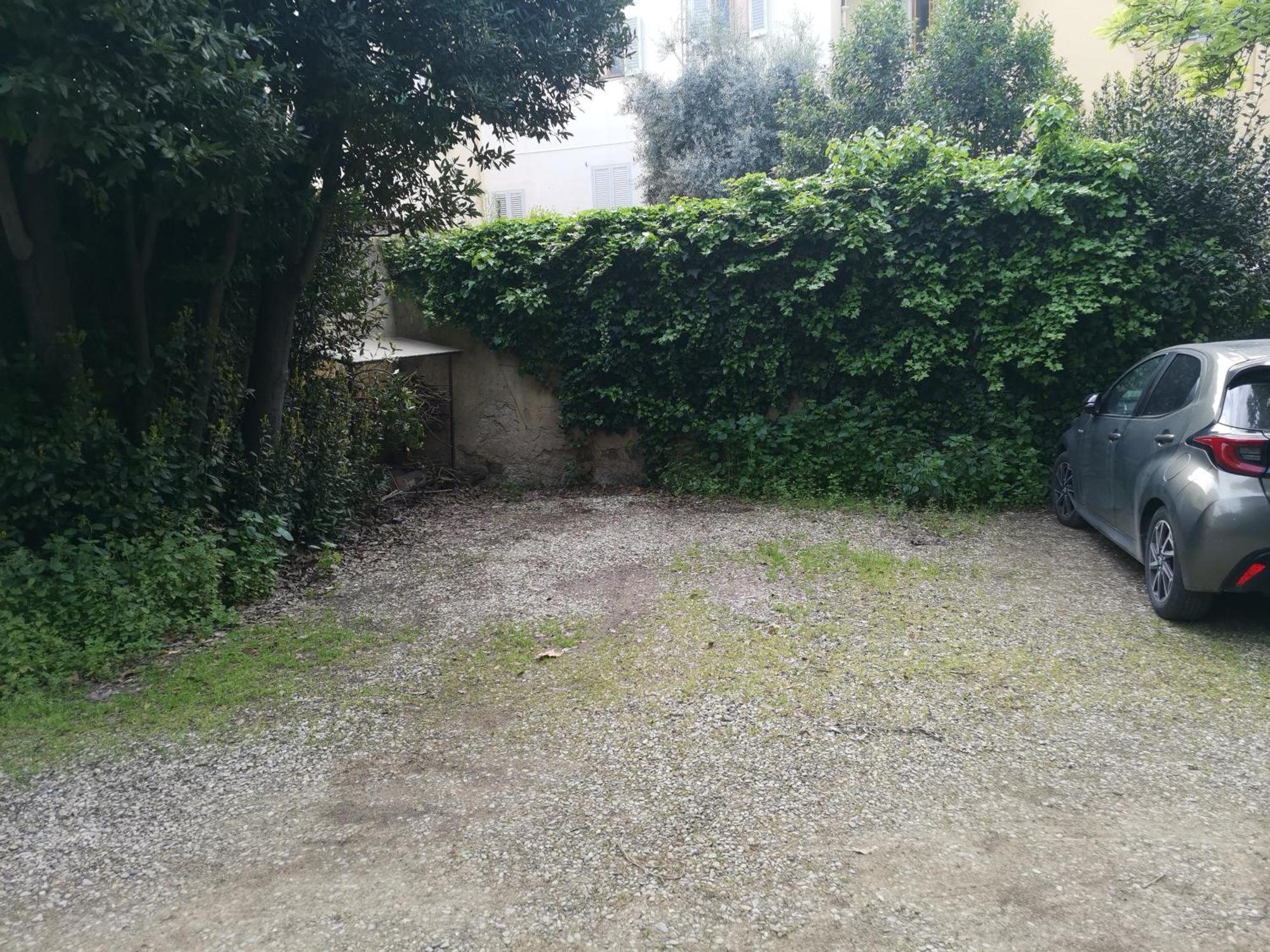 Pintino Garden