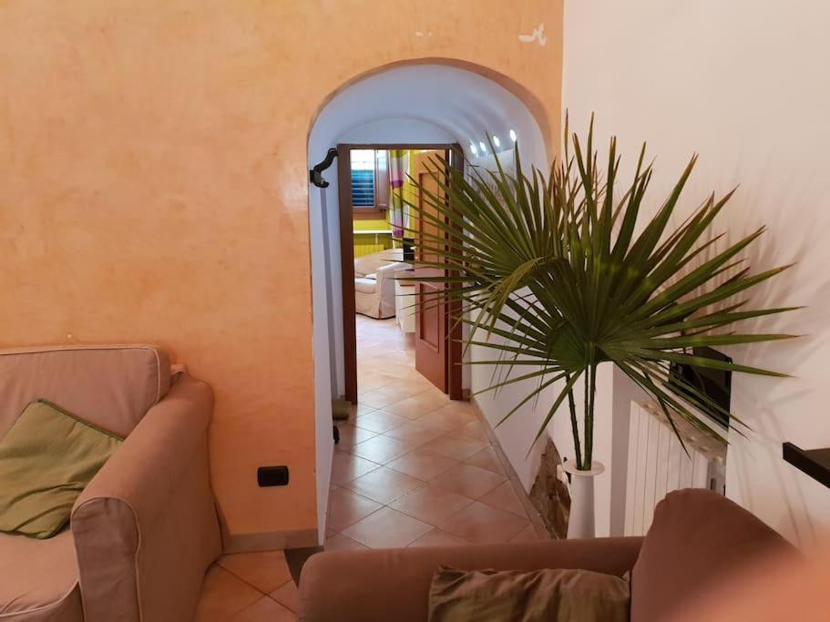 Charming Garden In Appartement *