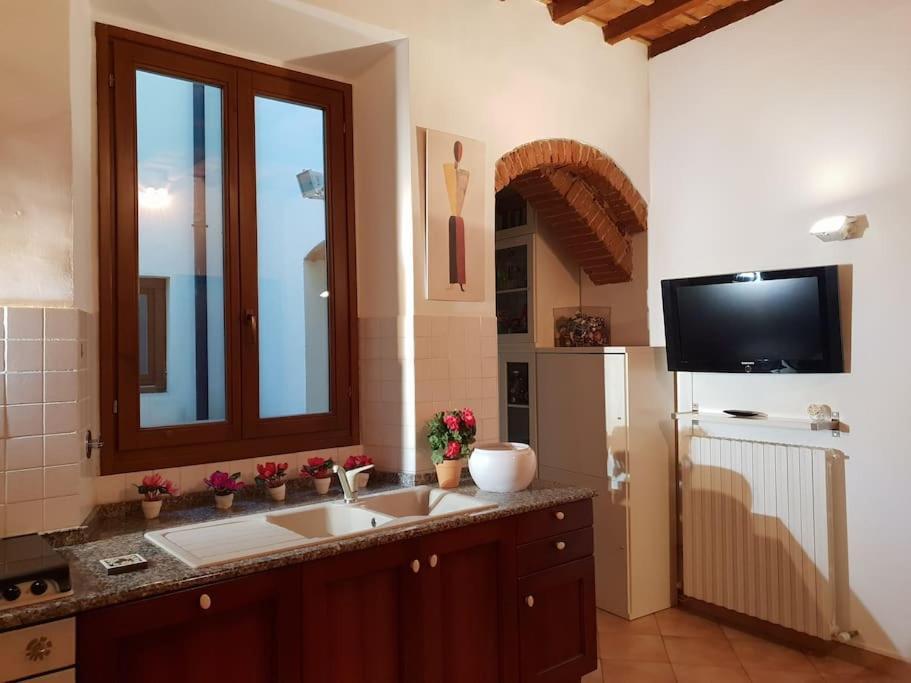 Charming Garden In Appartement Florence
