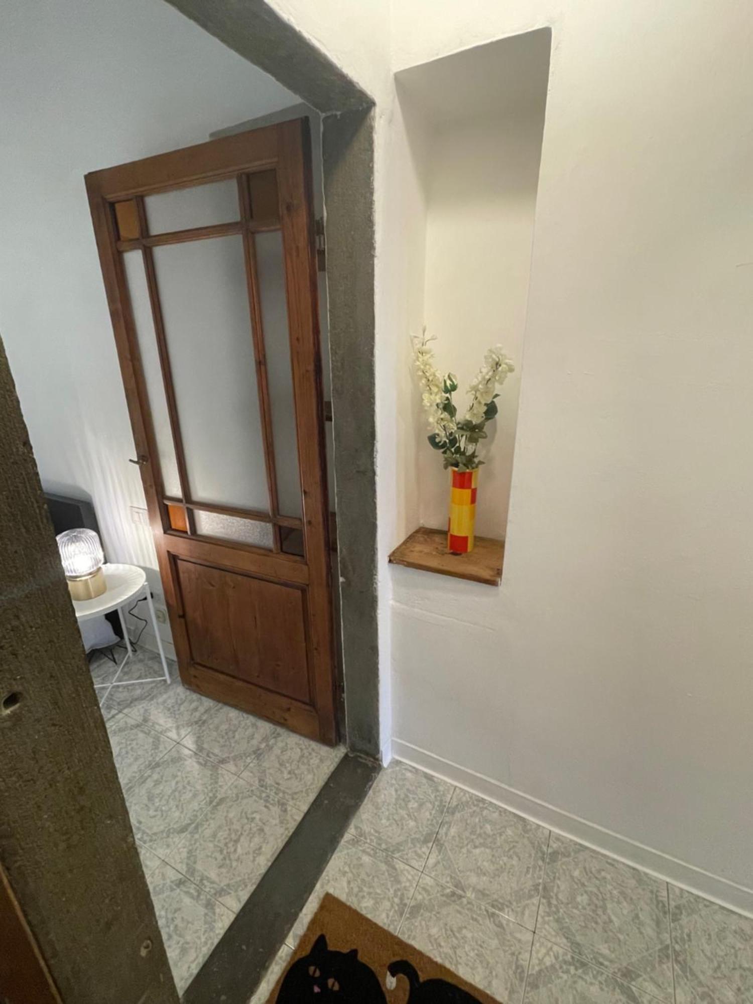 Apartment Michelangiolo *