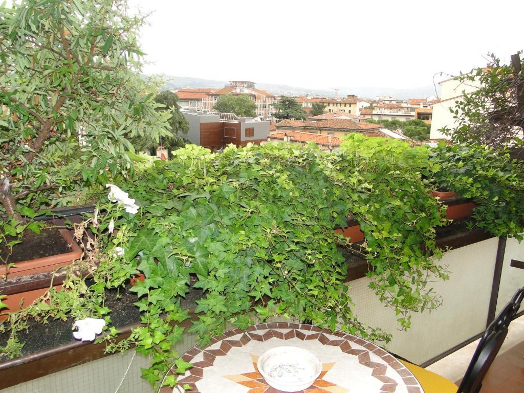 Guest house Residenza Giulia 3*