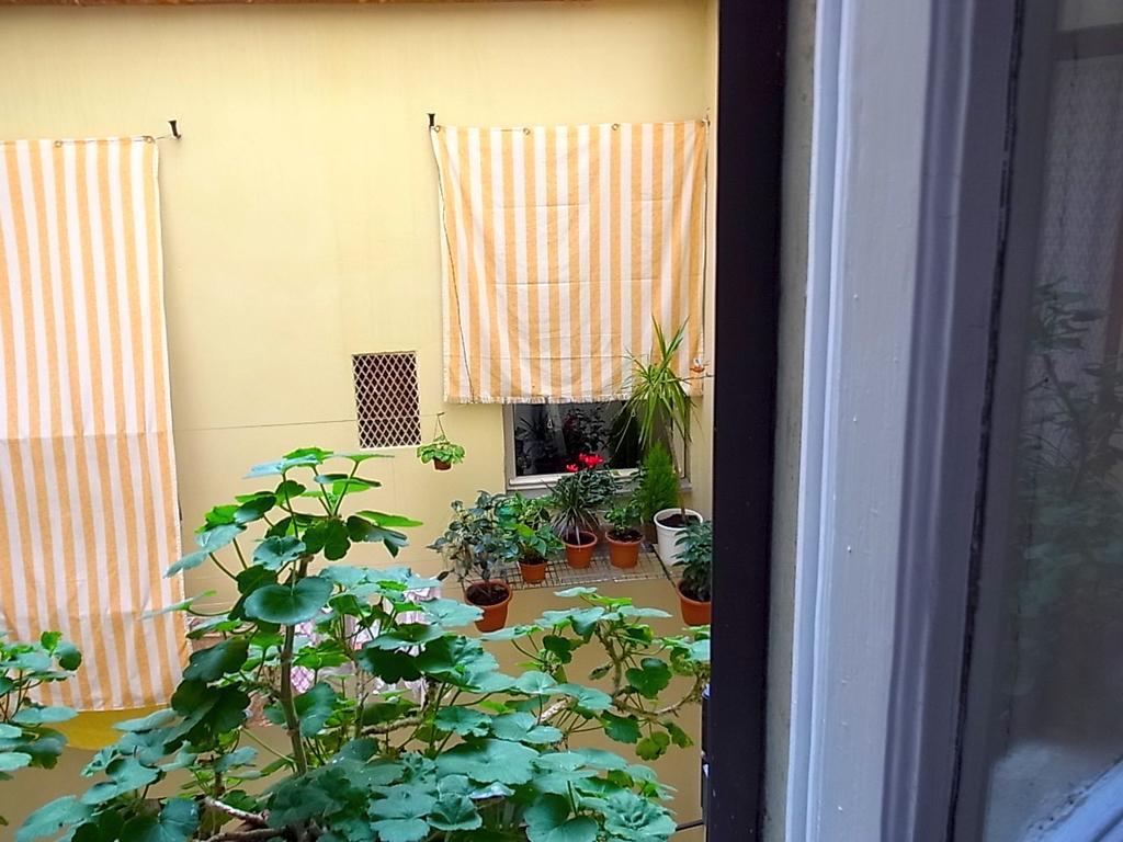 Hotel Cestelli Florence