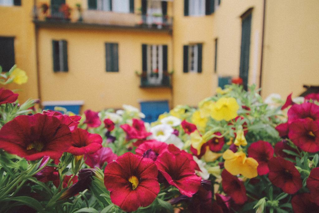 Martindago Bed & Breakfast Florence