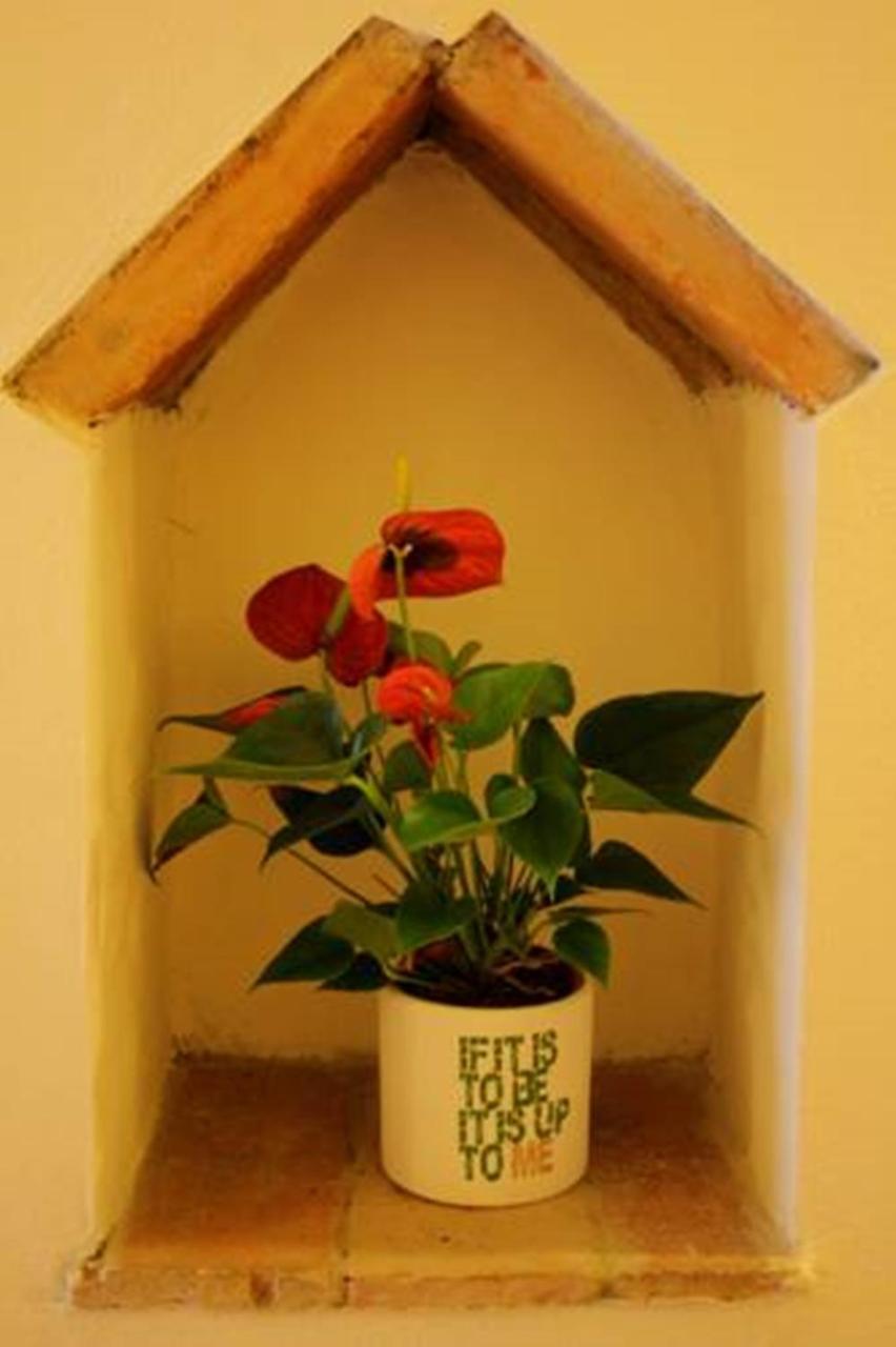 Maison d'hôtes Casa Corsi 2*