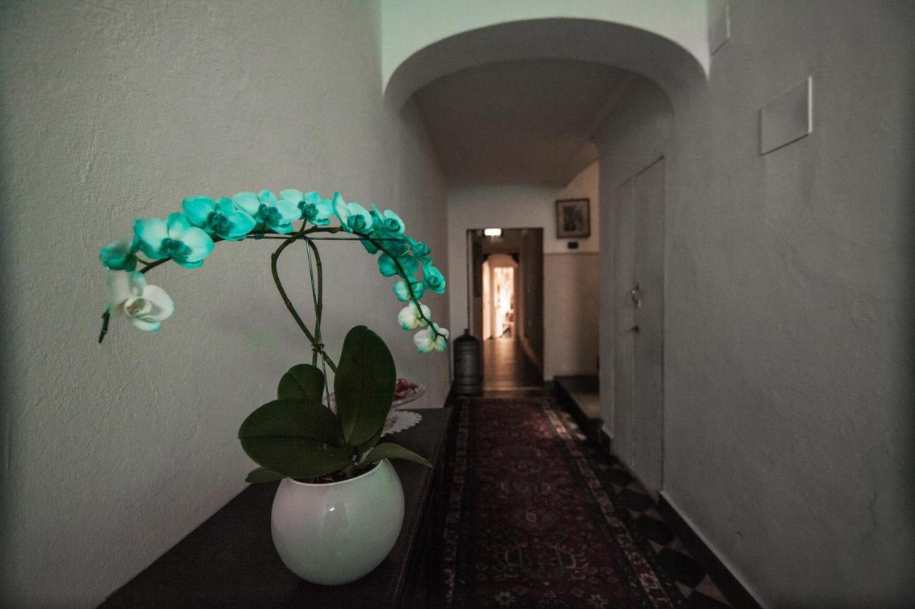 Bed & Breakfast Rifredi