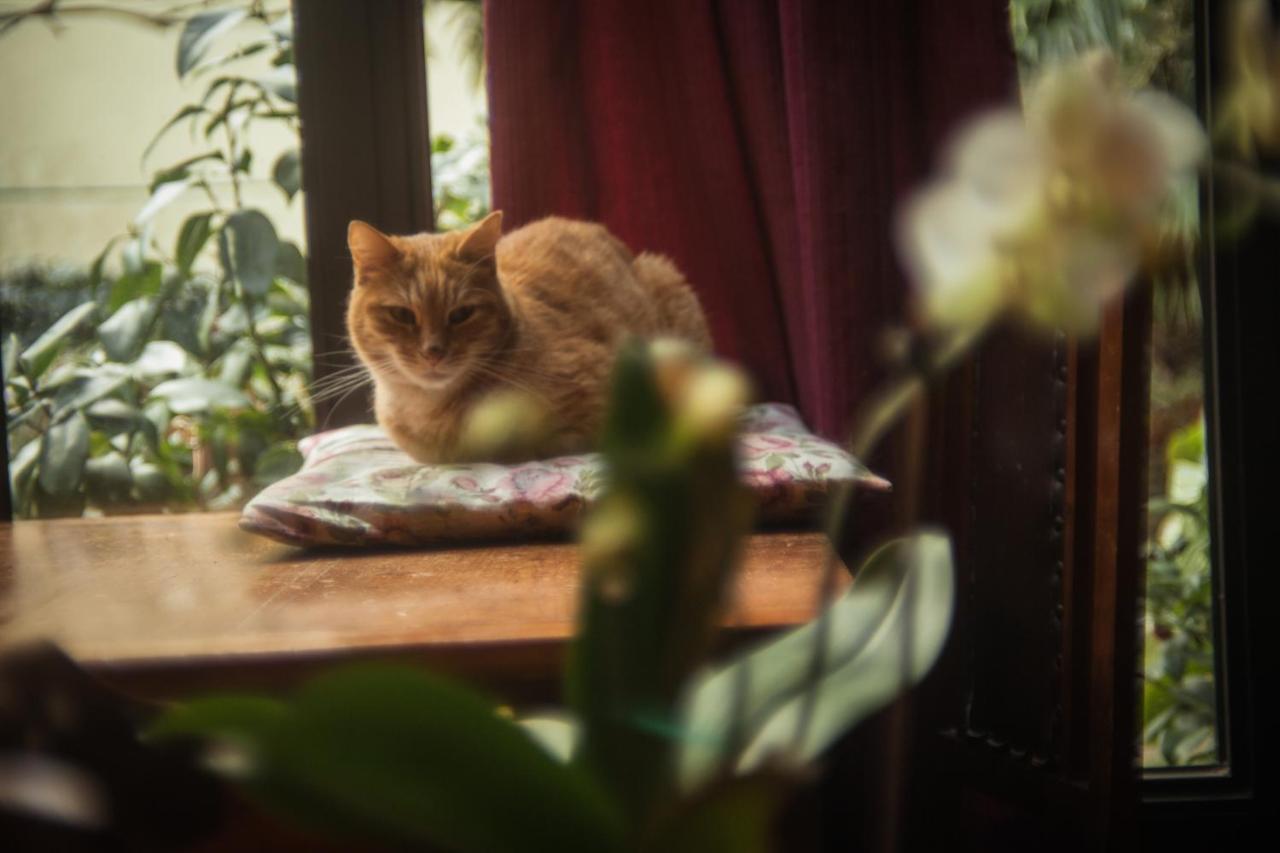 Bed & Breakfast Rifredi *