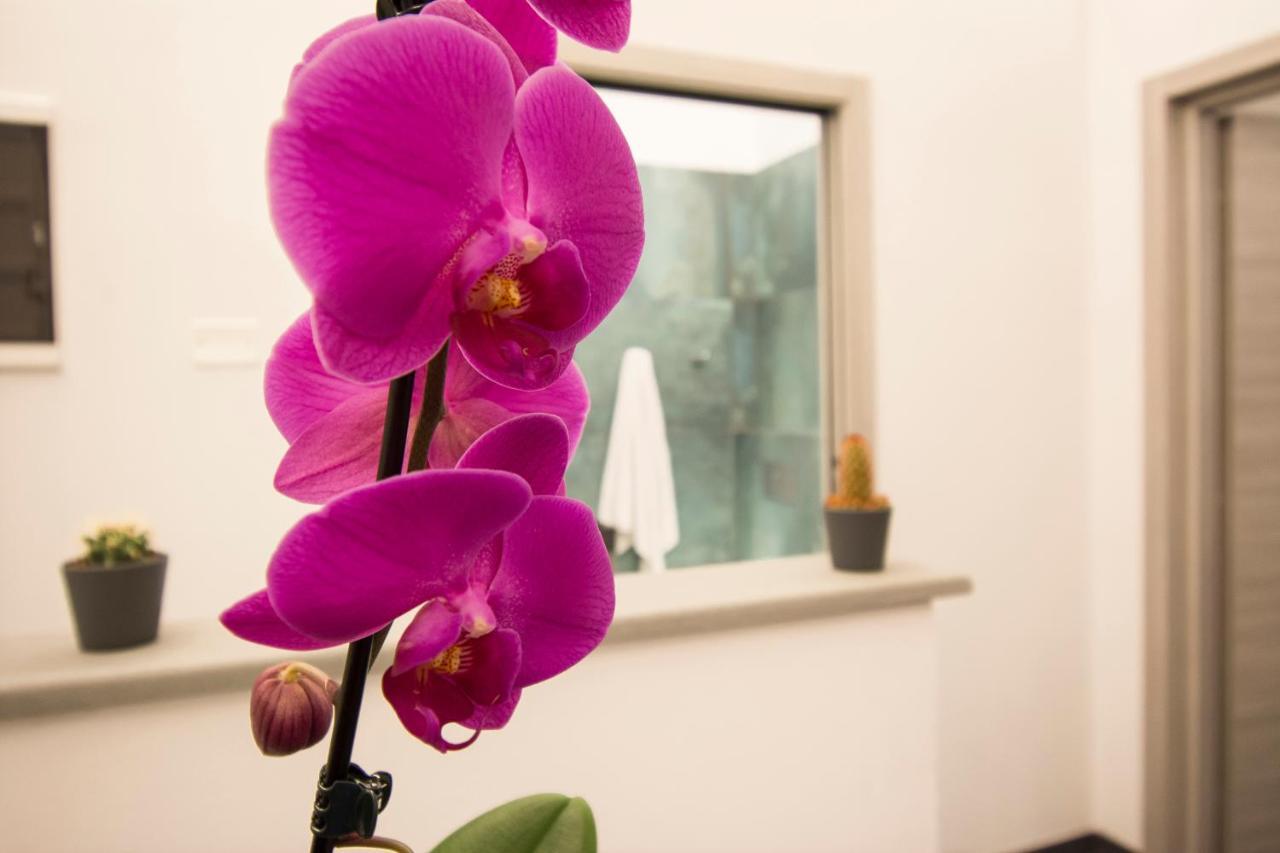 Lorenzo Luxury Apartment
