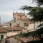 Magnoli Gold