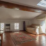 Apartments Florence- Tegolaio Chic