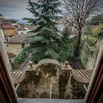Magnoli Gold