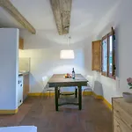 Amorino Studio