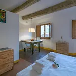 Amorino Studio