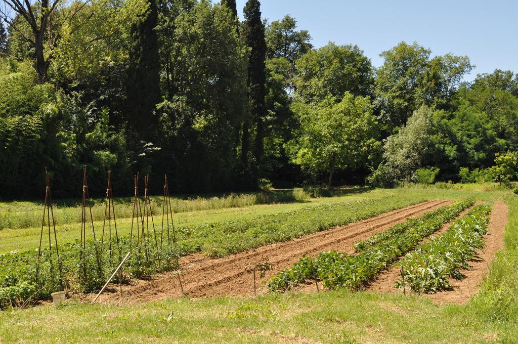 Hébergement de vacances Visconte *