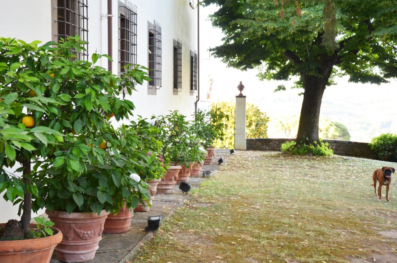 Podere Di Montecchio - Colleramole Apartment