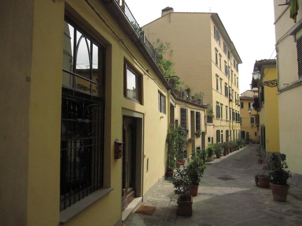 Il Caprifoglio