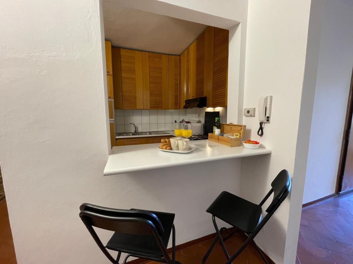 At The Boboli Garden Carola Loft Apartment *