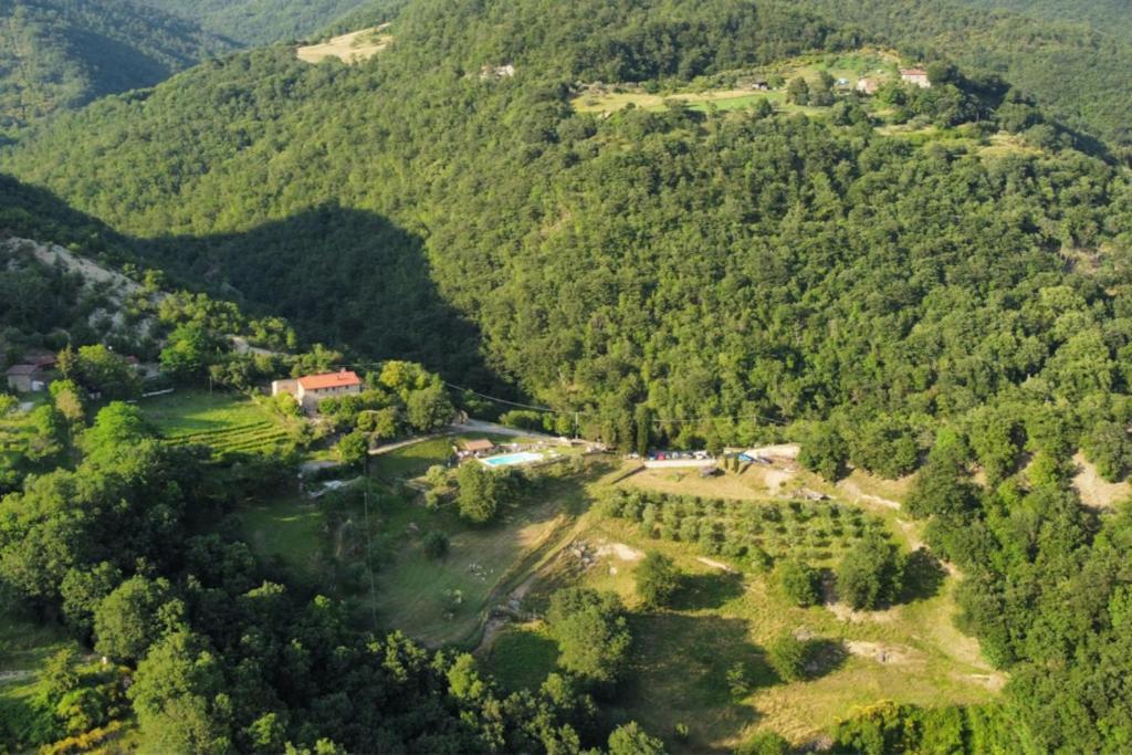 Il Colle - Pino *