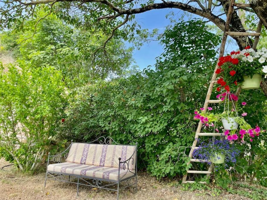 Appartement Il Colle - Pino *