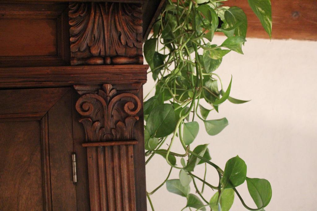 Pitti Loft Appartement *