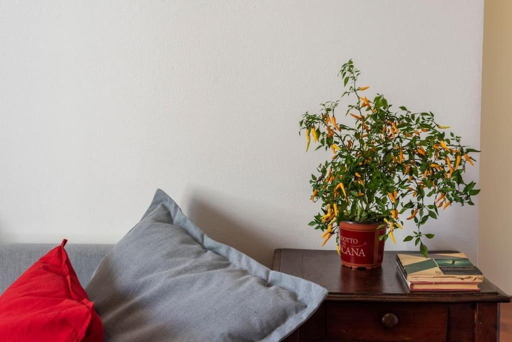 Appartement Renovated 19th Century