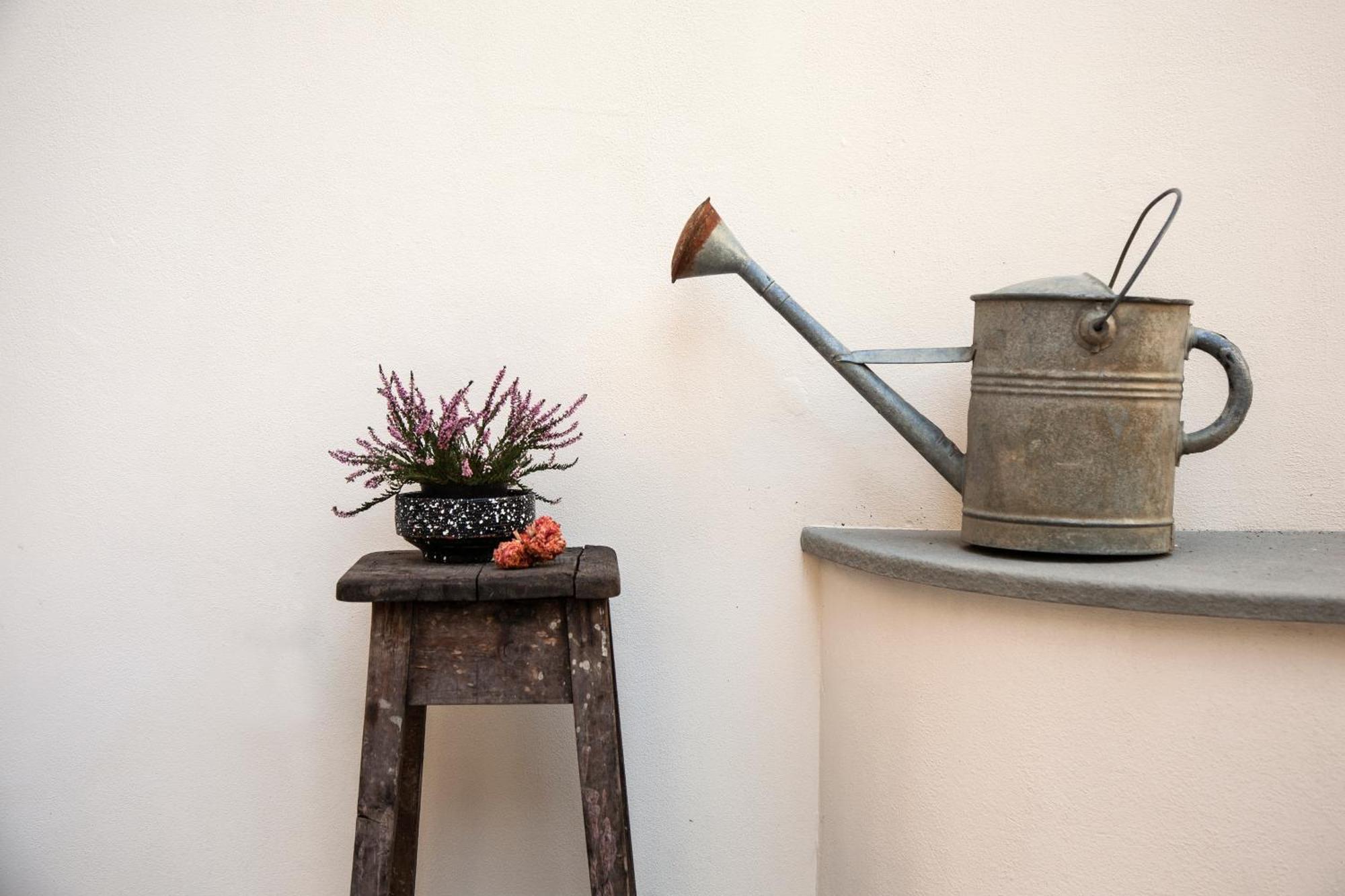 Appartement Pietrapiana Boutique