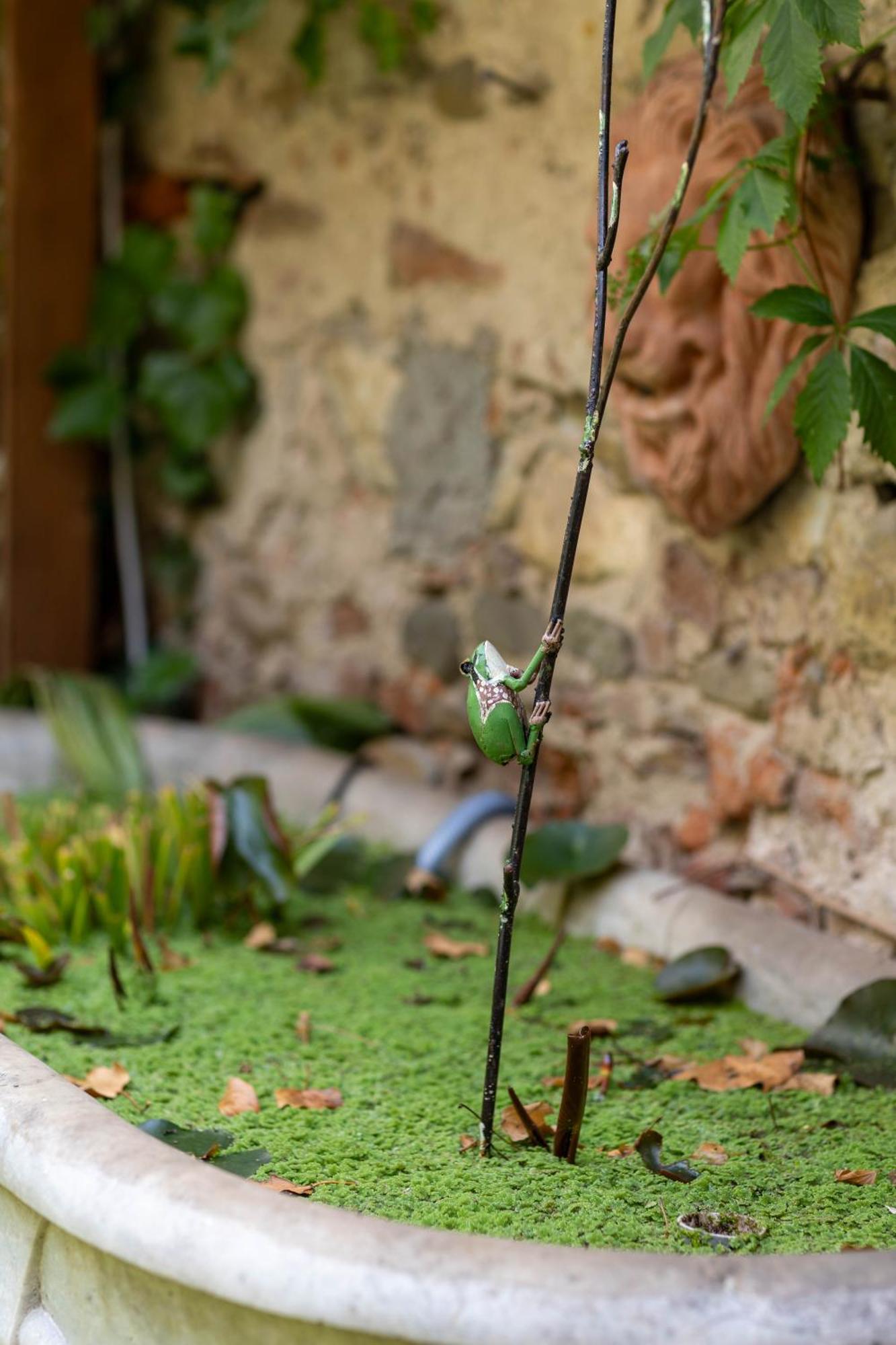 Secret Garden Couette-café Florence