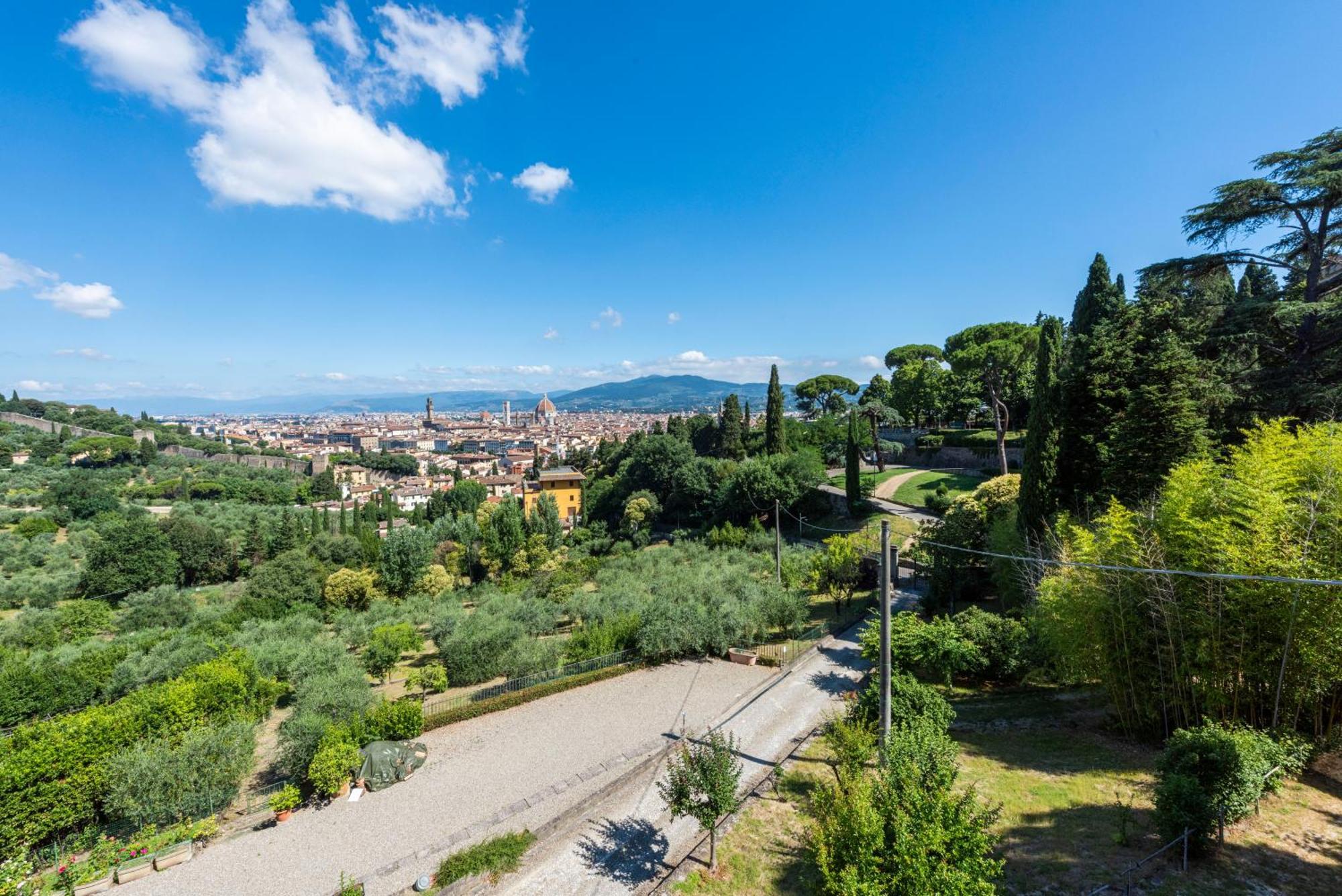Belvedere By Mmega Florence