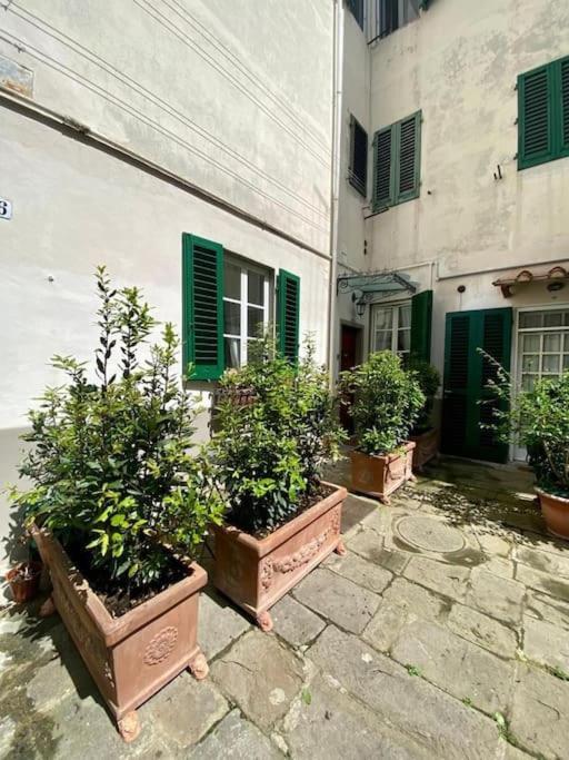 Benvenuti Nel Paradiso In Citta Apartment