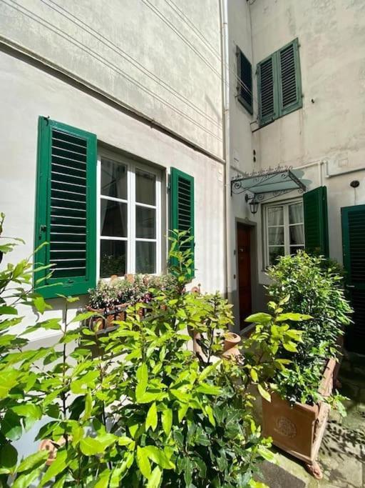 Benvenuti Nel Paradiso In Citta * Florence