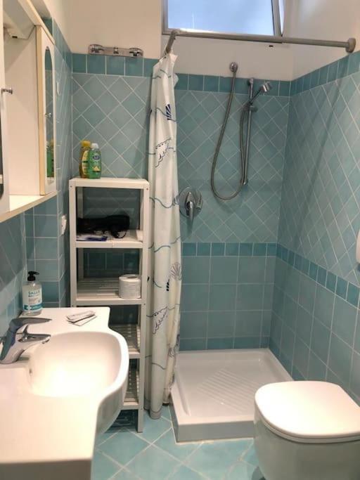 Apartment Serragli House *