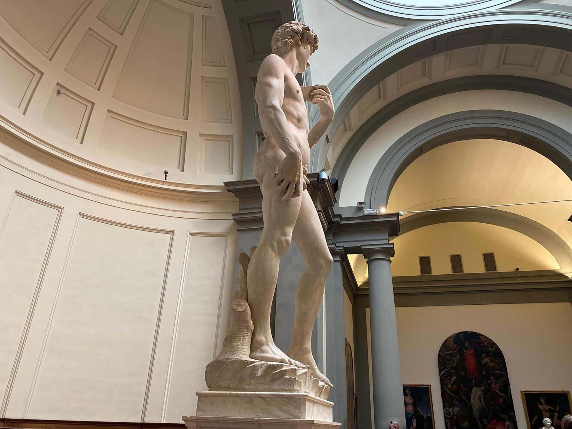 David - Michelangelo Appartement Florence
